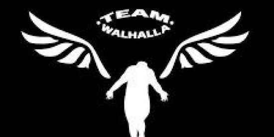Imagem do grupo de WhatsApp Team Valhalla⚔️