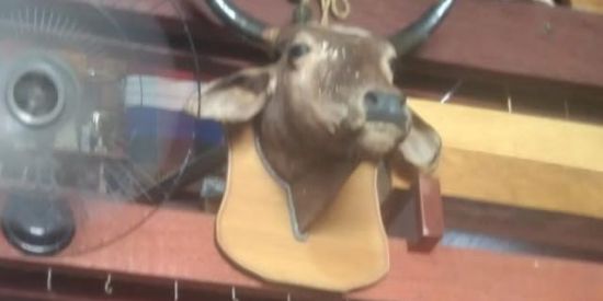 Imagem do grupo de WhatsApp lixos que amam o eddie 😤