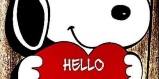 Imagem do grupo de WhatsApp Web Gados