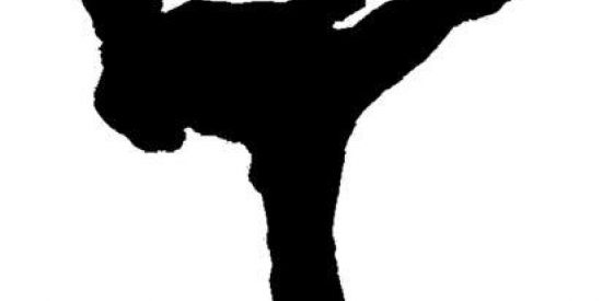 Imagem do grupo de WhatsApp GRUPO DE ANTES MARCIAL 🥋🥷👲🏼