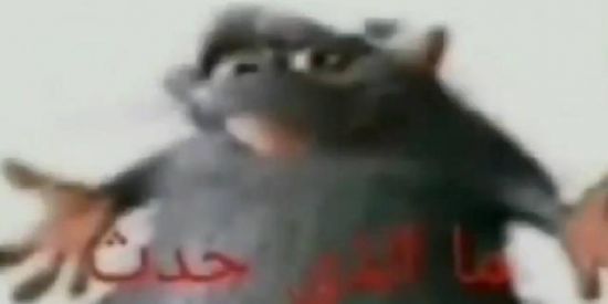 Imagem do grupo de WhatsApp ¹⁹𝙎𝙝𝙞𝙩𝙥𝙤𝙨𝙩 🐿🔥