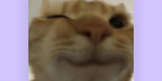 Imagem do grupo de WhatsApp Divulgações ctts!✌️🤜