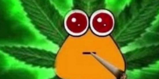 Imagem do grupo de WhatsApp A procura do empresário do luva✅