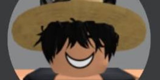 Imagem do grupo de WhatsApp upado Blox fruit 🏴‍☠️