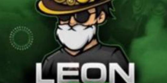 Imagem do grupo de WhatsApp Leon Vendas 👑💚
