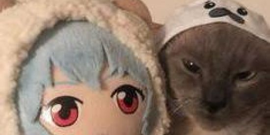 Imagem do grupo de WhatsApp MESTRE DAS DUBLAGENS