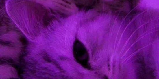 Imagem do grupo de WhatsApp Grupo da zueira 😁😁