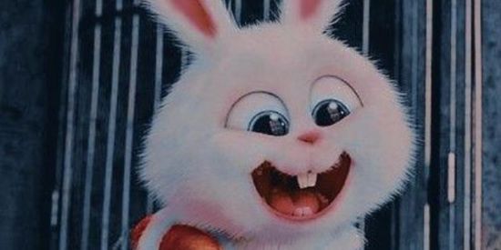 Imagem do grupo de WhatsApp Rєϲяυταмєиτο||•✧Rɠ'ร✧⚡