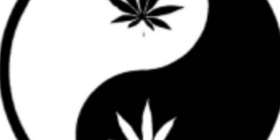 Imagem do grupo de WhatsApp ☯︎︎𝘽𝙤𝙣𝙙𝙚 𝙙𝙤𝙨 𝙩𝙖𝙡𝙞𝙗𝙖̃!☯︎︎𝑂𝐹𝐶