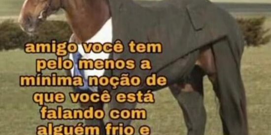 Imagem do grupo de WhatsApp União flasco 2.0