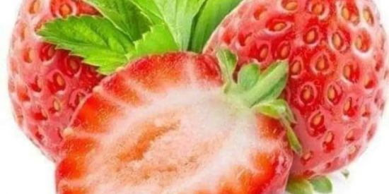 Imagem do grupo de WhatsApp Morango