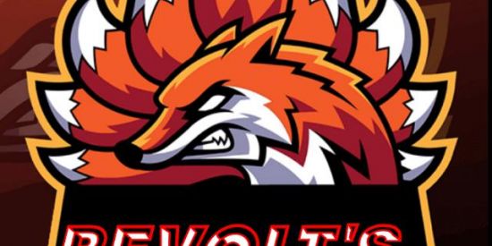 Imagem do grupo de WhatsApp ʀᴇᴄʀᴜᴛᴀᴍᴇɴᴛᴏ ʀᴇᴠᴏʟᴛ's