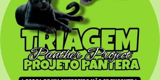 Imagem do grupo de WhatsApp • TRIAGEM|| Projeto Pantera ✨❤️