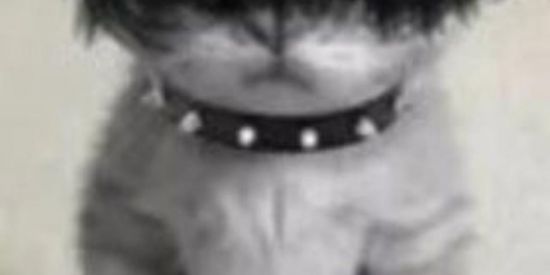 Imagem do grupo de WhatsApp 🇿🇦𝐈𝐒𝐀𝐐𝐔𝐄 𝐄𝐃𝐈𝐓𝐒🇿🇦