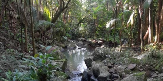 Imagem do grupo de WhatsApp Lado sul do Mapa