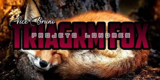 Imagem do grupo de WhatsApp 🦊|•TRIAGEM FOX•|🦊