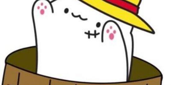 Imagem do grupo de WhatsApp PAPO DE BLOX FRUITS👍