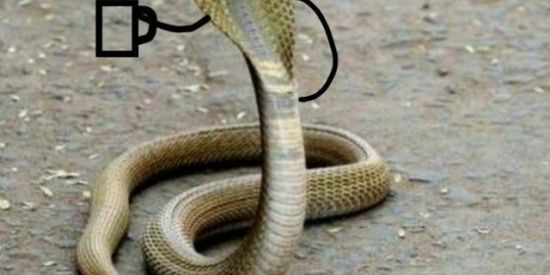 Imagem do grupo de WhatsApp Depois escolhemos o nome😁