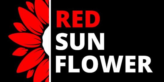Imagem do grupo de WhatsApp Brawl Stars - RED SunFlower