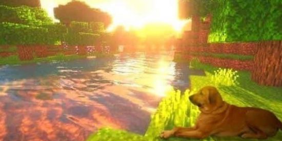 Imagem do grupo de WhatsApp ZOEIRA LIBERADA