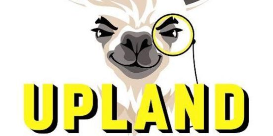 Imagem do grupo de WhatsApp UpLand BR