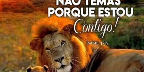 Imagem do grupo de WhatsApp JESUS É O TEU ABRIGO