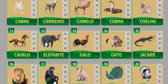 Imagem do grupo de WhatsApp A&B Rifas e premiações🍀📢💬