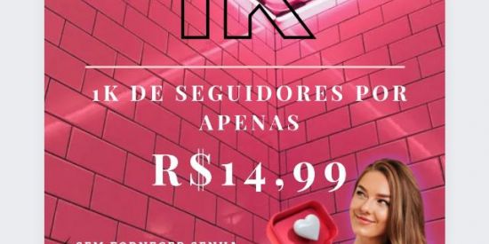 Imagem do grupo de WhatsApp Seguidores BR