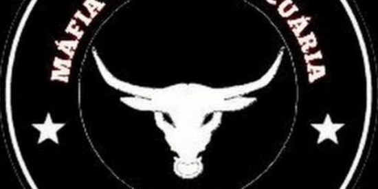 Imagem do grupo de WhatsApp MÁFIA DA AGROPECUÁRIA 🍃