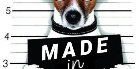 Imagem do grupo de WhatsApp ZOERA MIL GRAU 1.0