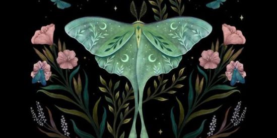 Imagem do grupo de WhatsApp 𝕮𝖔𝖛𝖊𝖓 𝕷𝖚𝖓𝖆 𝕸𝖔𝖙𝖍