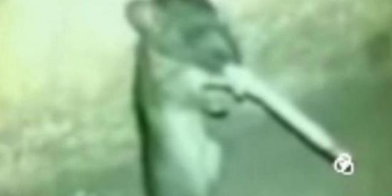 Imagem do grupo de WhatsApp FAZEND!NHA DO $HIT