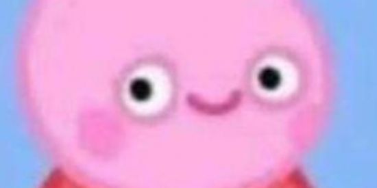 Imagem do grupo de WhatsApp 𝑮𝒓𝒖𝒑𝒐 𝑺𝒉𝒊𝒕𝒑𝒐𝒔𝒕 𝑩𝑹🇧🇷