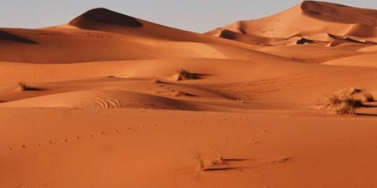 Imagem do grupo de WhatsApp Caminho no deserto