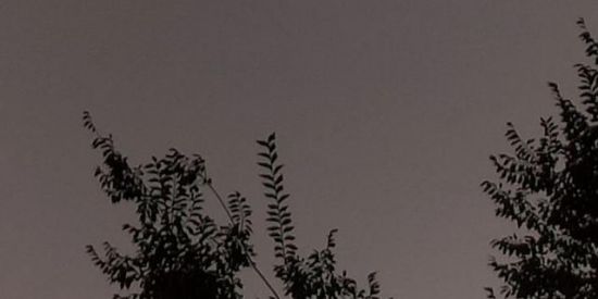 Imagem do grupo de WhatsApp GANHAR SEGUIDORES❤‍🩹✨