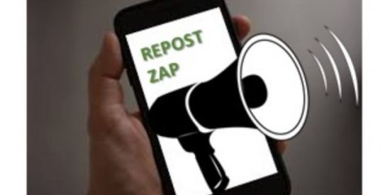 Imagem do grupo de WhatsApp REPOST ZAP BR 📱📢   Gp 01