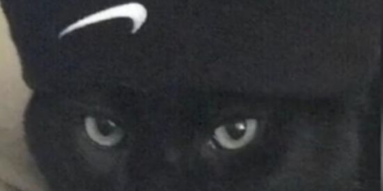 Imagem do grupo de WhatsApp 👍🏻Grupo dos idiotas 👍🏻