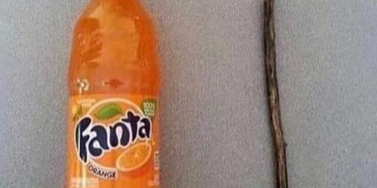 Imagem do grupo de WhatsApp Em busca de romance