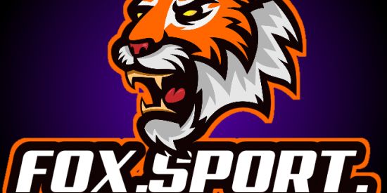 Imagem do grupo de WhatsApp FOX.SPORT.