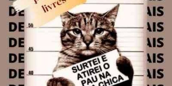 Imagem do grupo de WhatsApp Đ€ŞΔĴỮŞŦΔĐØŞ ŞØĆIΔIŞ