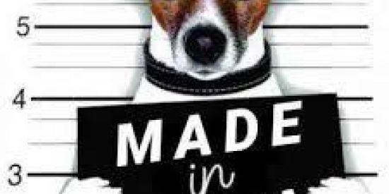 Imagem do grupo de WhatsApp Grupo da e-doidice