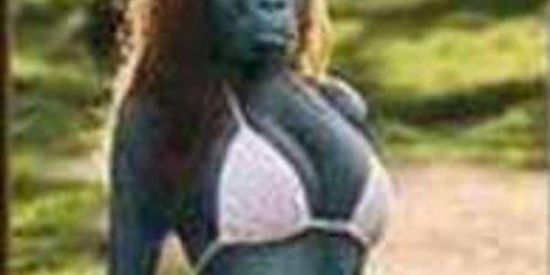 Imagem do grupo de WhatsApp UFC DE POBRE