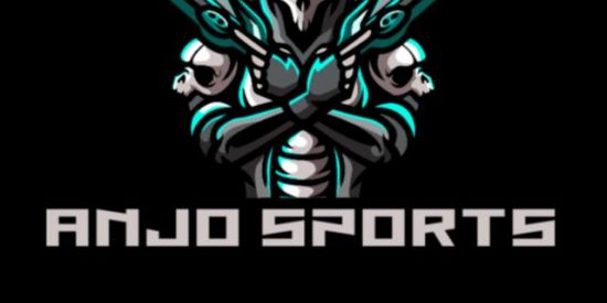 Imagem do grupo de WhatsApp ANJO ESPORTS😇 recrutament