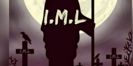 Imagem do grupo de WhatsApp IML Stumble Guys