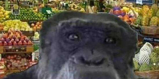 Imagem do grupo de WhatsApp REPÚBLICA CHEETOS POZE😎🤯