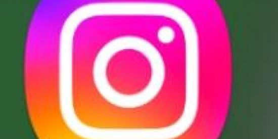 Imagem do grupo de WhatsApp Divulgação no insta