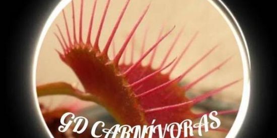 Imagem do grupo de WhatsApp 🤘GD CARNÍVORAS🌱