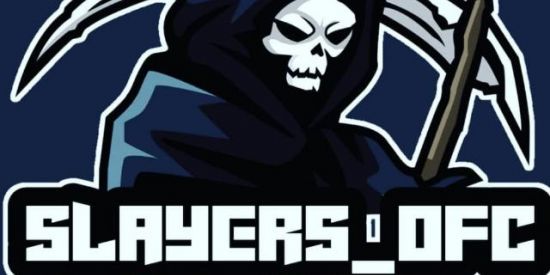 Imagem do grupo de WhatsApp RECRUTANDO SLAYERS_OFC