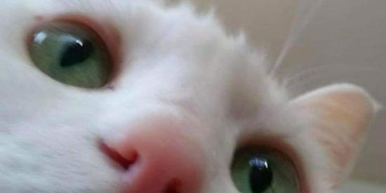 Imagem do grupo de WhatsApp 𝙂𝙧𝙪𝙥𝙤 𝘿𝙚 𝘼𝙢𝙞𝙯𝙖𝙙𝙚<3