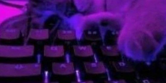 Imagem do grupo de WhatsApp Barraqueiros🍷🗿